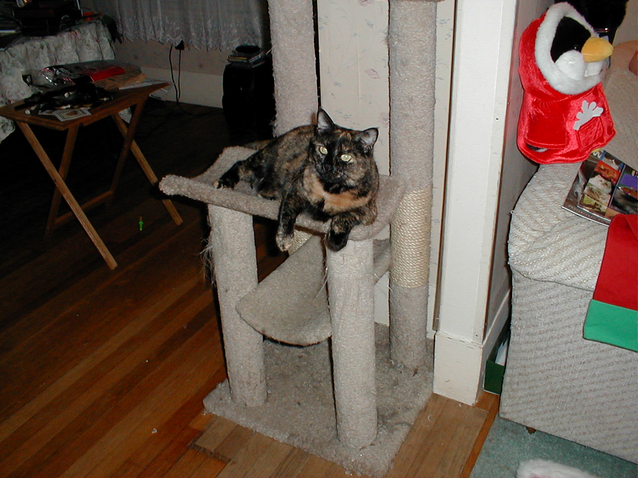 mrsbigglesworth.jpg
